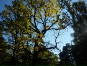 Фотография Шевякиной Натальи