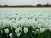 Фотография Потудинской Надежды