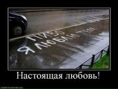 Александр Касапенко фотография #26 (источник - https://vk.com/id10534896)