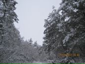 Іра Савчук фотография #5 (источник - https://vk.com/id102736004)