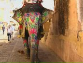 Фотография Самарской Екатерины