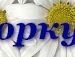 Оксана Овдієнко фотография #19 (источник - https://vk.com/id135546699)