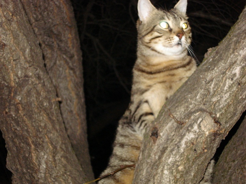 Ян Стулов фотография #35