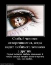 Вікочка Шелемба фотография #1