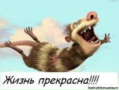 Ярик Зінчєнко фотография #4 (источник - https://vk.com/id162124269)