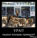 Костянтин Огороднік фотография #1
