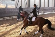 Фотография Федоровой Анастасии