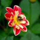 Фотография Ириной Ирины