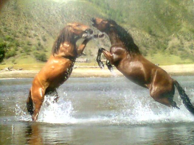 Чечек-оол Куулар фотография #44