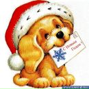 Фотография Зайцевой Карины