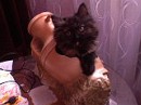 Максім Войтенко фотография #17 (источник - https://vk.com/id57289629)
