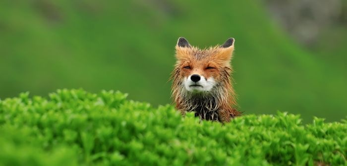 Фарид Гайсин фотография #18