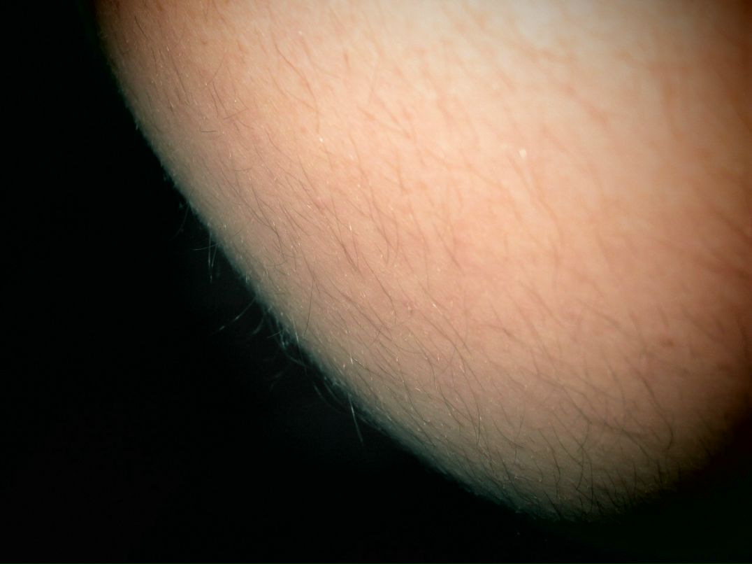 Дмитрий Колосков фотография #41