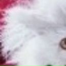 Пєтя Сверба фотография #44 (источник - https://vk.com/id19829246)