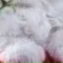 Пєтя Сверба фотография #40 (источник - https://vk.com/id19829246)