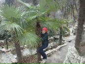 Фотография Коробец Марии