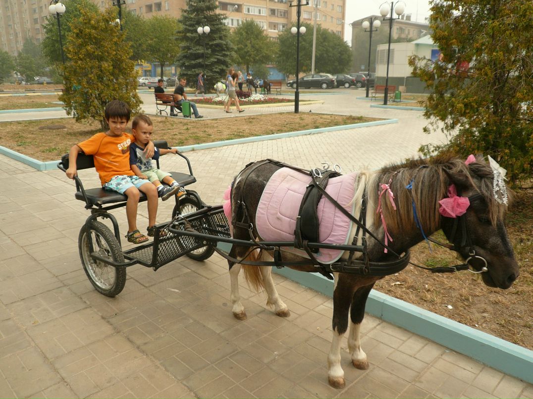 Денис Лабышкин фотография #19