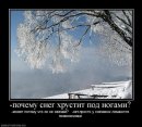 Вікторія Гранюк-Гедеон фотография #29 (источник - https://vk.com/id11711375)