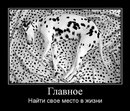 Володимир Стрілець фотография #4 (источник - https://vk.com/id152671234)