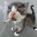 Іван Камянчин фотография #40 (источник - https://vk.com/id138291719)