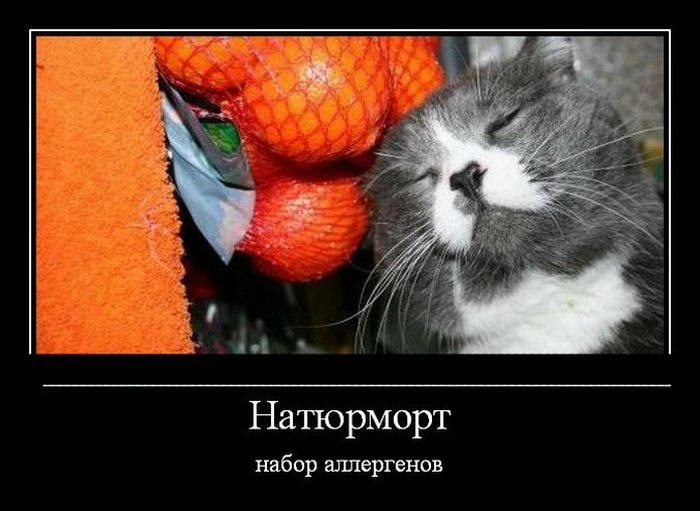 Дмитрий Антоненко фотография #13