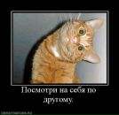 Ольга Світла фотография #33 (источник - https://vk.com/id9191530)