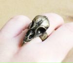 Different Lines фотография #16 (источник - https://vk.com/id89656317)