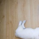 Міша-Іра Павлик фотография #20 (источник - https://vk.com/id42441609)