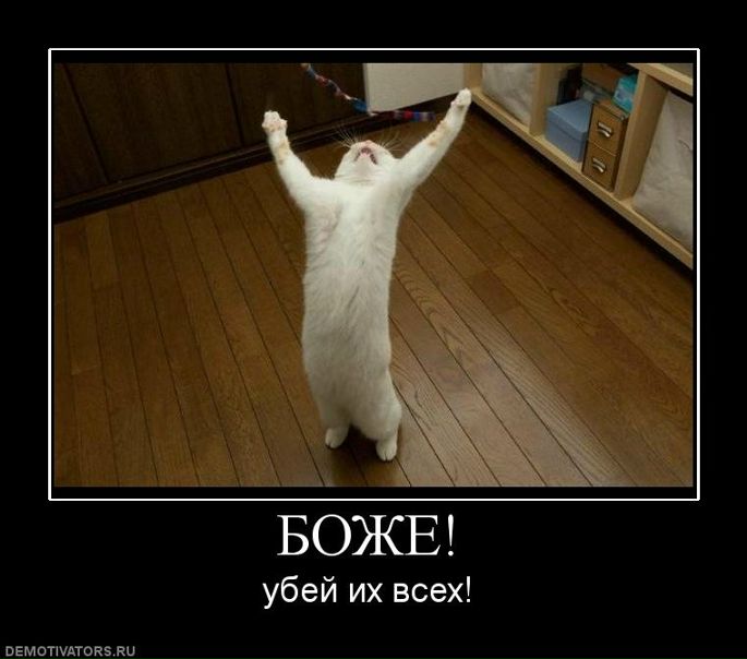 №13, Алина Пышкина, Москва, Россия №13, Алина Пышкина, Москва, Россия