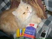 Светик Александрова фотография #14 (источник - https://vk.com/id890244)