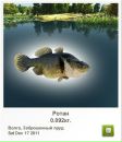 Сашко Дмитріев фотография #29 (источник - https://vk.com/id113286753)