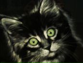 Фотография Щербина Сергея