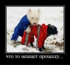 Коля Пасічник фотография #28 (источник - https://vk.com/id11779947)