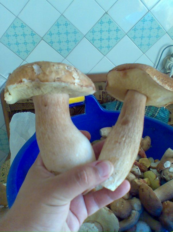 Dmitry Tolstenko фотография #27