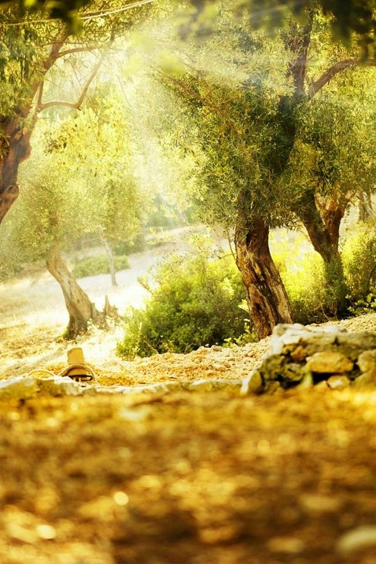 Эльдар Валиев фотография #15