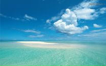 Фотография Самойленко Екатерины