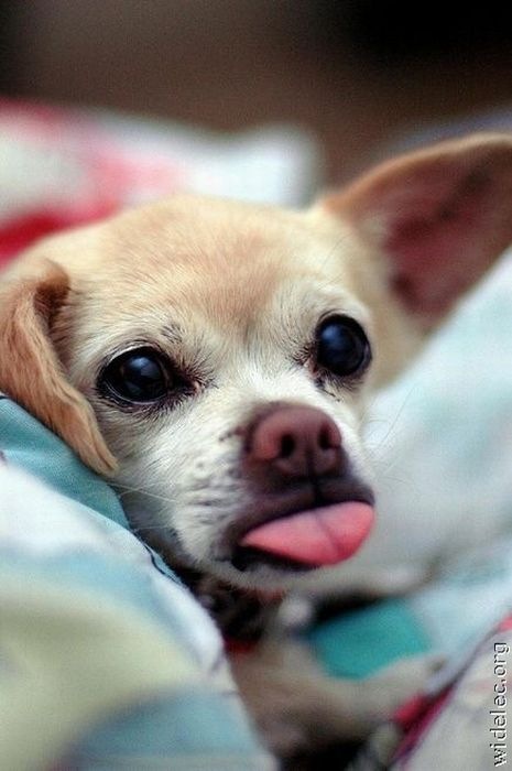 Михаил Евстратенко фотография #50