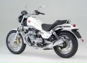 Фотография Тепло-Вместе Алисы