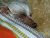 Фотография Kwartira Kwartira