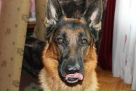 Андрій Борисюк фотография #7 (источник - https://vk.com/id234738795)