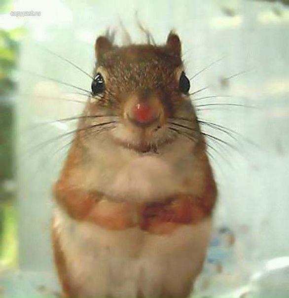 Aleksandr Orlov фото №32