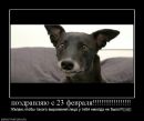 Nina Night фотография #31 (источник - https://vk.com/id99715286)