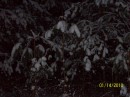 Олексій Поліщук фотография #35 (источник - https://vk.com/id58325613)