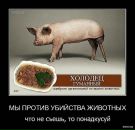 Олексій Маніла фотография #35 (источник - https://vk.com/id14696735)
