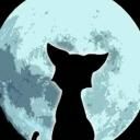 Фотография Кашпора Лёхи