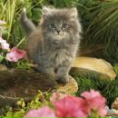 Вікуся Горайчук фотография #27 (источник - https://vk.com/id156377243)