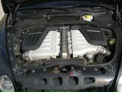 Фотография Константиновича Константина