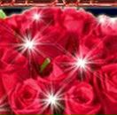 Марія Мацола фотография #26 (источник - https://vk.com/id97844136)