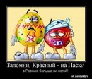 Сашка Штогрін фотография #34 (источник - https://vk.com/id165740790)