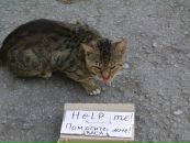 Виктор Цедик фотография #45 (источник - https://vk.com/id8573149)